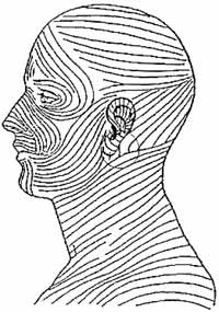 массаж лица