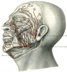 Массаж лица